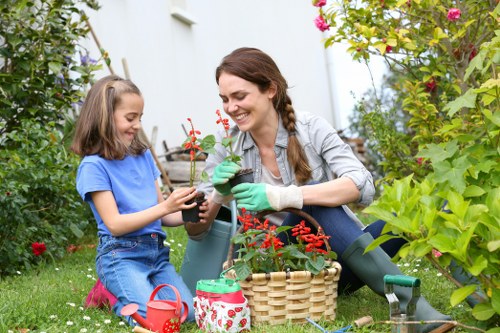 Illustration representing essential cookies on a Landscaping Acton website