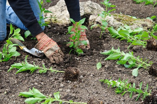 Written quotation and booking confirmation for landscaping services