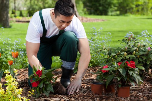 Supervisor reviewing safety measures on a landscaping site