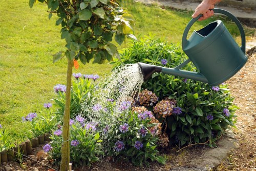 Outdoor landscape project with hardscape and greenery