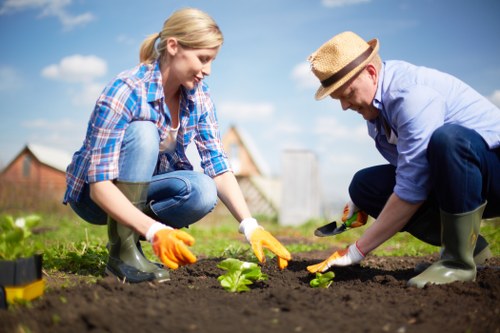 Final review of a resolved landscaping complaint after corrective work