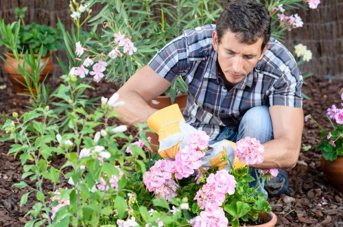 Supply chain audit documents and compliance review materials